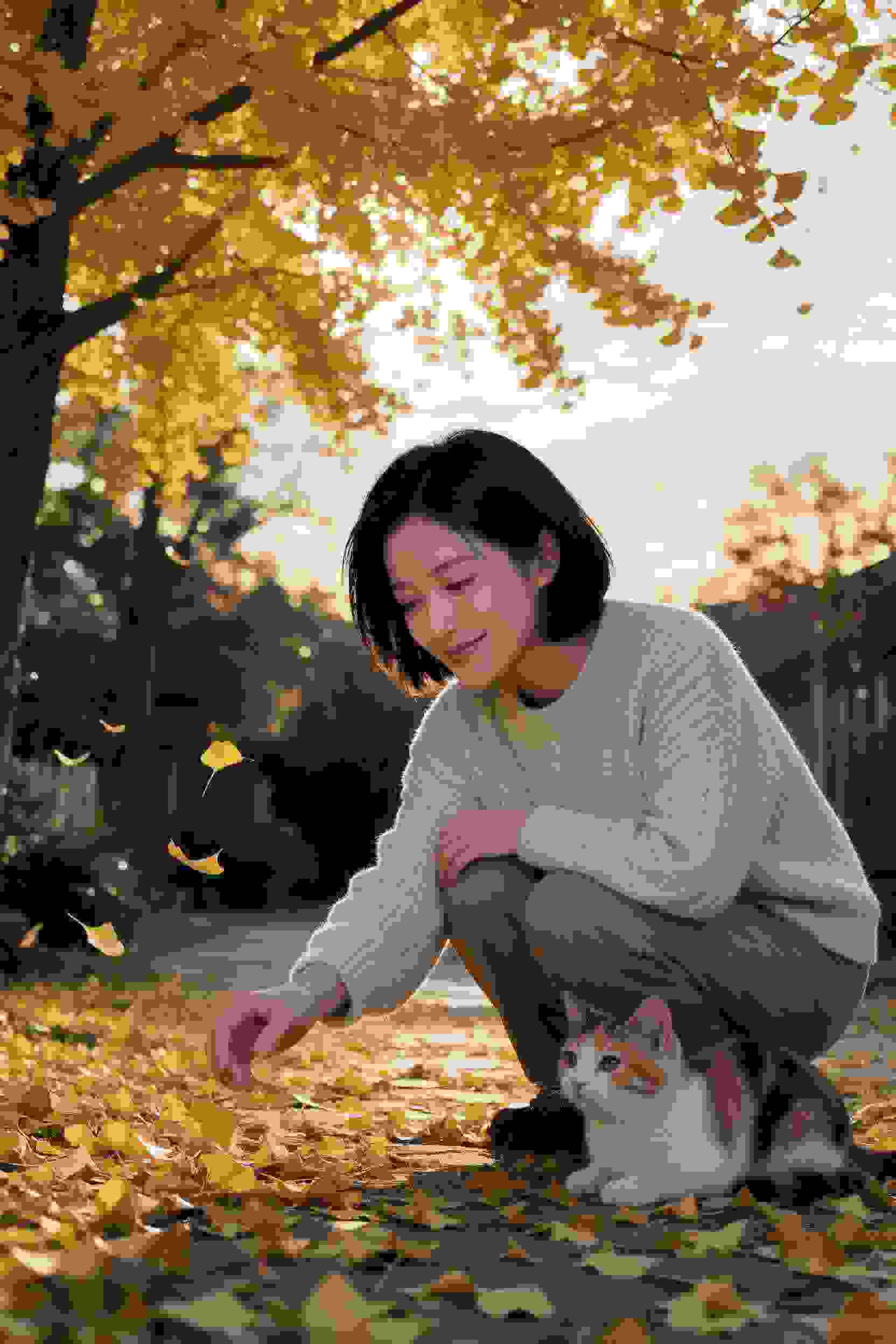 命运石之门